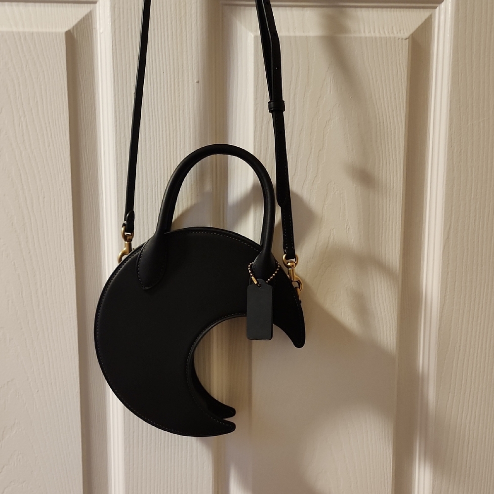 Coach Runway Crescent Moon Bag